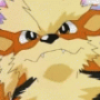 FurryConfused