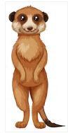 Meercat.JPG