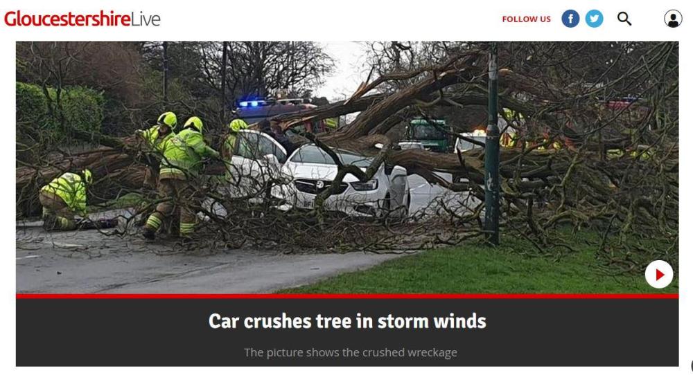 Car crushes tree.JPG