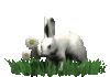 post-1-1048792802_thumb.gif