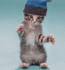 post-1-1067978367_thumb.gif
