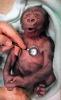 post-1-1068574892_thumb.jpg