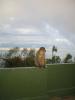 post-1-1074551916_thumb.jpg