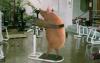 post-1-1079037321_thumb.jpg