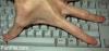 post-1-1079275945_thumb.jpg