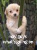 post-1-1087819442_thumb.jpg