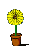post-100-1129011784_thumb.gif