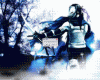 post-12487-1234840476_thumb.gif