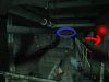post-255-1104850962_thumb.gif