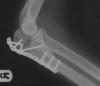 post-64-1113242491_thumb.jpg