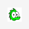 KidTDragon