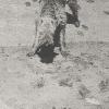 snakedog
